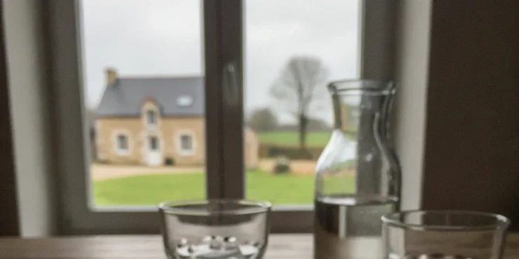 glacons faits maison ils troubles
